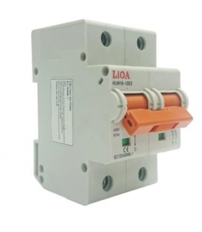 APTOMAT LiOA 2 Cực 100A